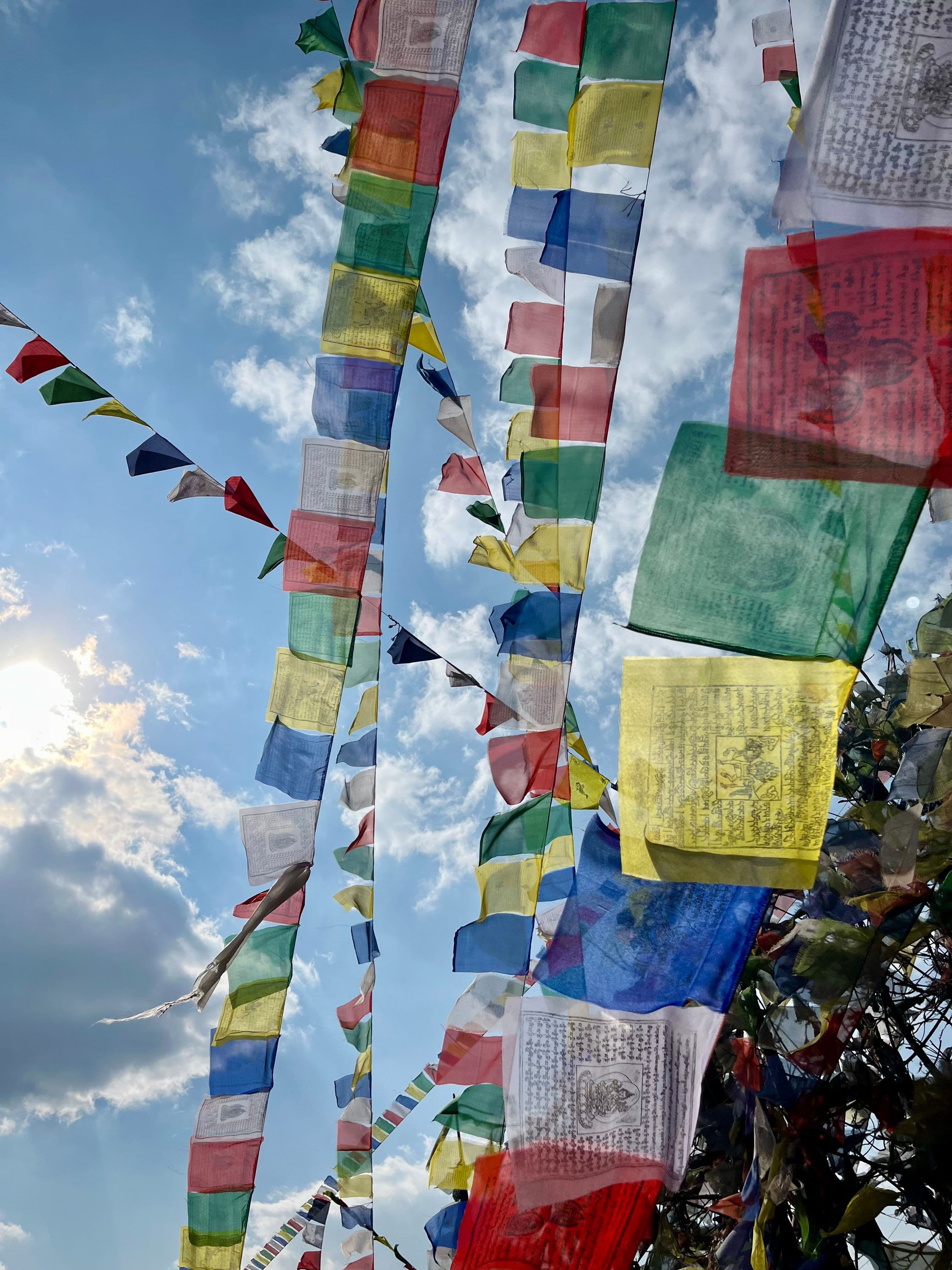 Natural skills - Terug naar onze Natuur