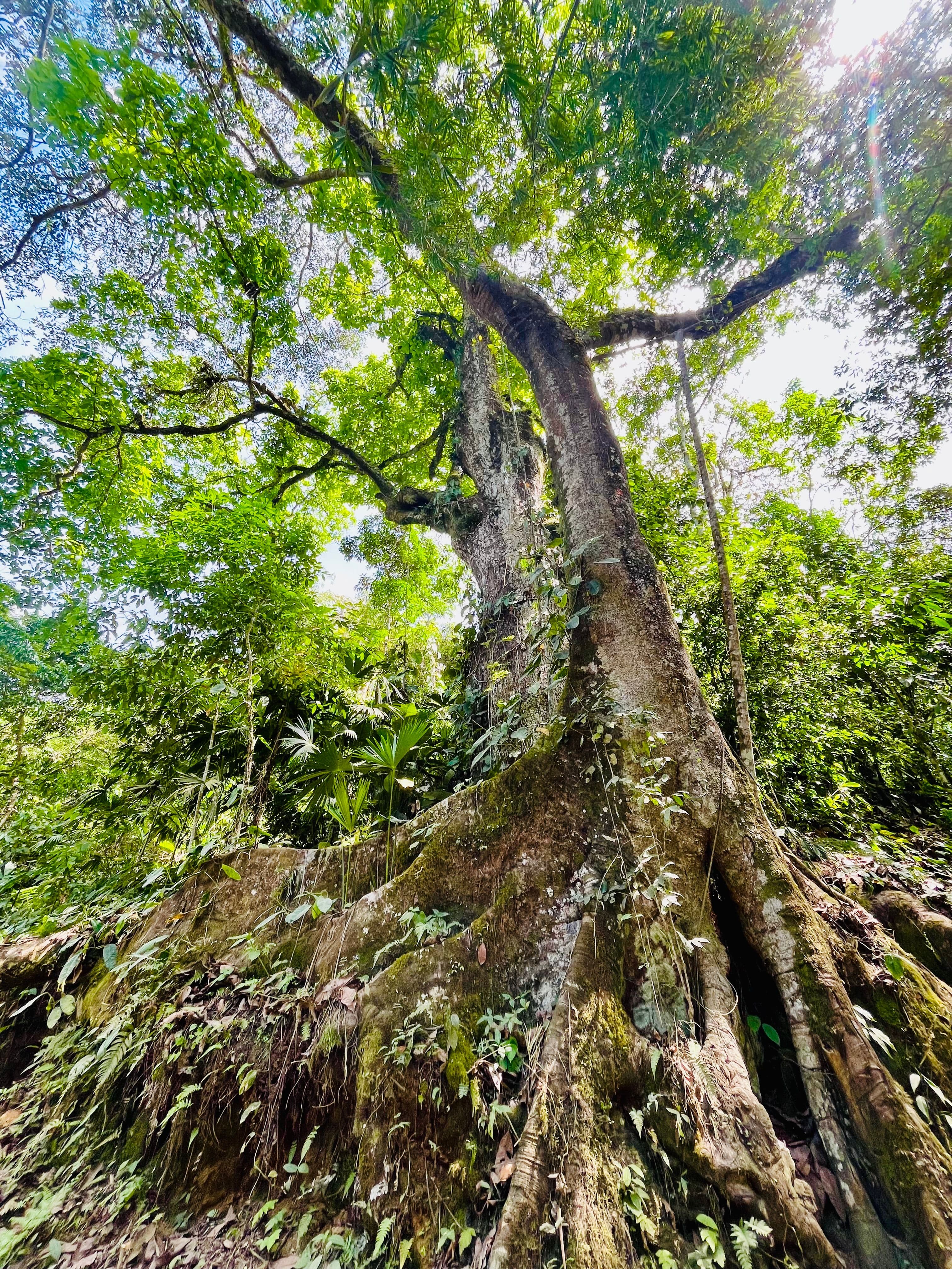 Lichaamsgericht Leren - het lichaam als ingang naar leven