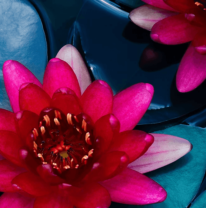 Wanneer gaan we echt Luisteren?